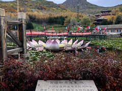 -帽儿山风景区
