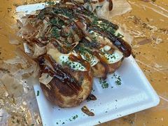 -宫城藏王狐狸村