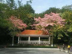 -中山公园(石岐街道)