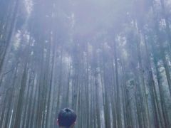 -山王坪喀斯特国家生态公园