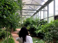 -嬉乐湾休闲旅游区