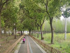 -莲花岛景区