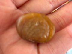 -阿男野栗王(金门路店)