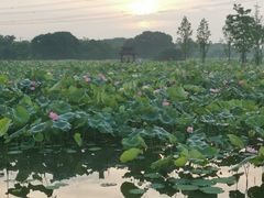 -梁鸿国家湿地公园