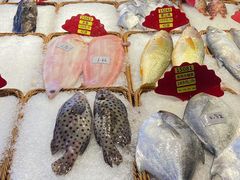 -驻海渔市(置信店)