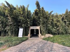 -采石矶景区