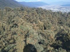 -苍山感通索道
