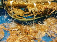 -海景壹号大酒店(惠钱路店)