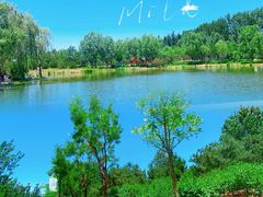 -东郊湿地公园