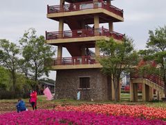 -杭州湾海上花田景区
