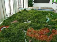 -广州市石门国家森林公园