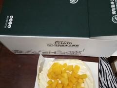 -维尔纳斯·生日蛋糕·动物奶油冰淇淋蛋糕(六里桥店)