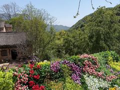 -云丘山景区