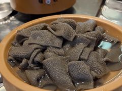 -龍歌自助小火锅(市南金茂湾店)