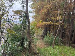 -东湖落雁景区