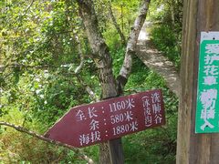 -苏木山森林公园