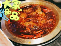 红汤锅底-潮火锅·麻辣牛肉火锅(观音桥方圆·LIVE店)