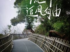 -福道
