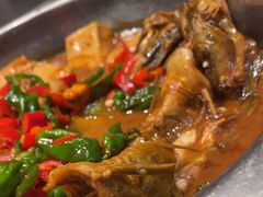 昂刺鱼烧豆腐-回家吃饭·地道南昌菜(建德观总店)