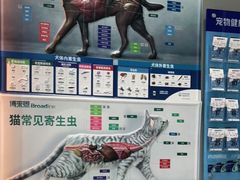 -关爱宠物医院·猫科中心·消化科(滨湖万达分院)