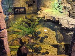 -沈阳海洋探索中心