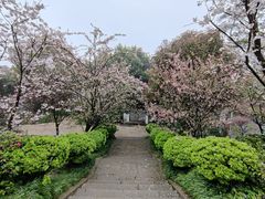 -南山植物园
