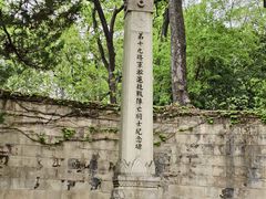 -灵谷景区