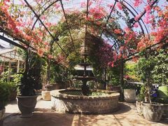-The Grounds of Alexandria
