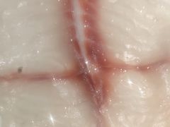 -重庆大队长火锅(凤城八路店)