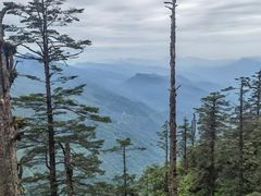 -瓦屋山景区