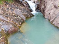 -广州白江湖森林公园