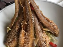 -夜上海(新天地店)