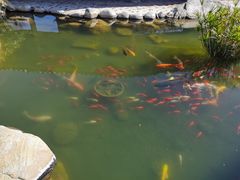 -大理地热国