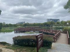 -金银湖国家城市湿地公园
