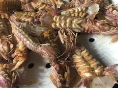 皮皮虾-鲜小岛·铜锅涮肉