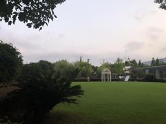 -上海浦东康桥绿地假日酒店