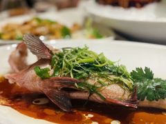 -金悦轩海鲜城(渔人码头店)