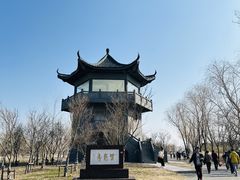 -盐城丹顶鹤湿地生态旅游区