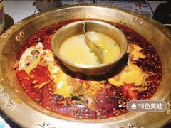 -哥老官重庆美蛙鱼头(圆融广场店)