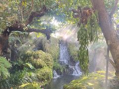 -Chom Cafe and Restaurant