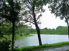 -东莞植物园