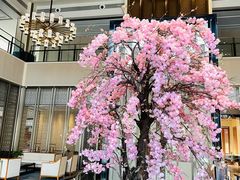 -成都安仁福朋喜来登酒店