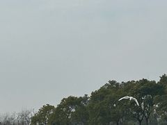-春花秋色城市公园