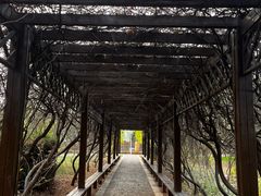 -中华石雕艺术园