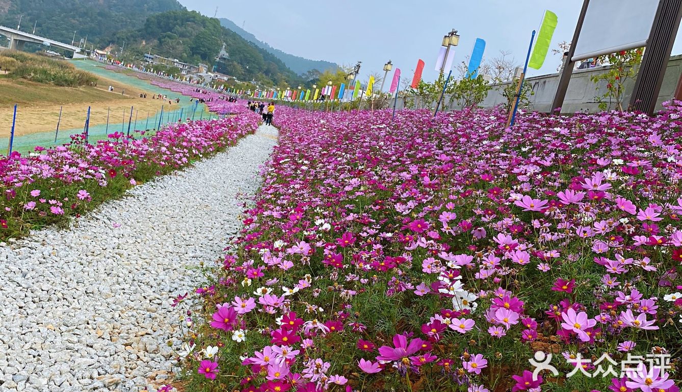 正果云吞、虾堆、粽子、腊味饭、濑粉、蛋散、咸水角、糍粑…