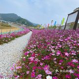 正果云吞、虾堆、粽子、腊味饭、濑粉、蛋散、咸水角、糍粑…