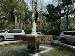 -申粤轩酒楼·三十年粤菜经典(丁香花园店)