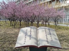 -河南财经政法大学(郑东校区)