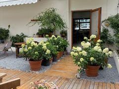 -AHAVA·Fang Baking Studio