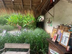 -大象粑粑造纸公园